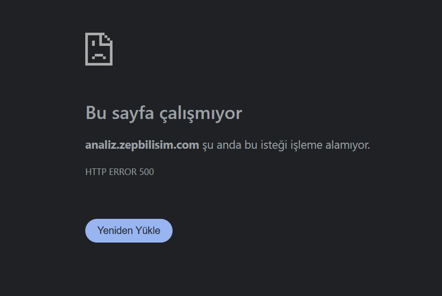 Görsel Açıklaması (caption)